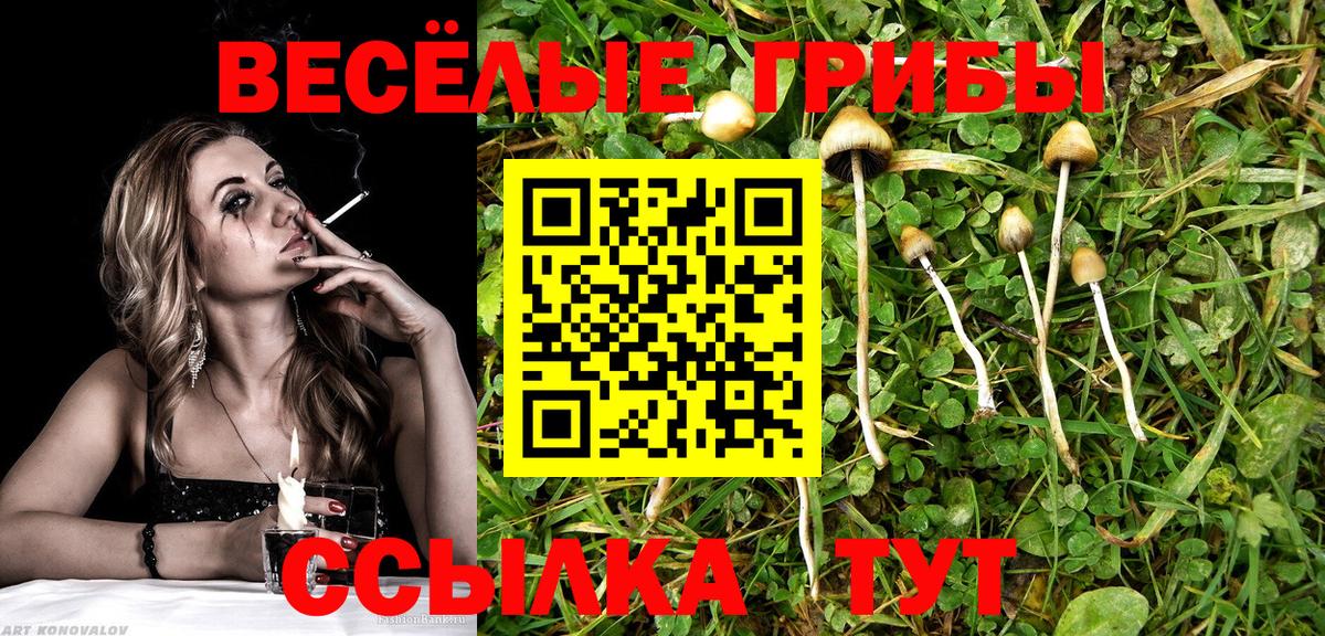 Нягань  Псилоцибиновые грибы Cubensis  Вход с VPN 
