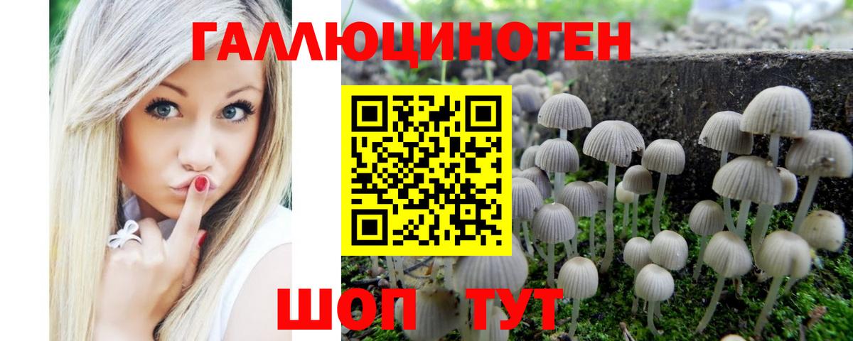 Галлюциногенные грибы Cubensis Нягань